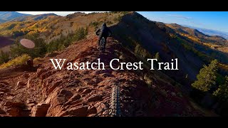 Wasatch Crest Trail | Park City, UT