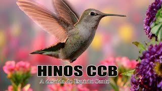 Hinos CCB 2020 - O Hino 5 Simboliza A Presença Do Senhor AMÉM!