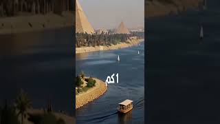 اكتشاف حير العلماء #shorts