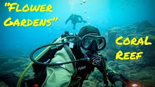 Scuba Diving West Flower Garden Banks (1 of 2) - May 2023