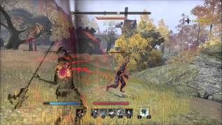 The Elder Scrolls Online PvP Magicka DK 1vs1