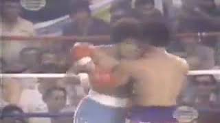 salvador sanchez y wilfredo gomez