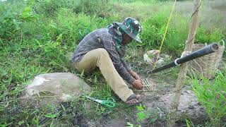 Simple Unique Chicken Trap Using Spade & Wood