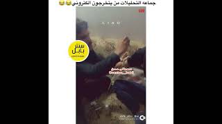 طلاب التحليلات من يتخرجون إلكتروني