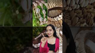 Cowrie Shell Hairband 🐚 #navratwsakshi #hairband #navratrihairstyle #garba #diy #shorts