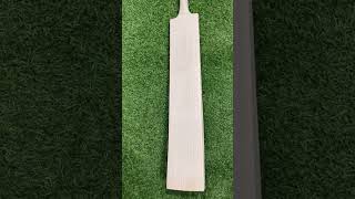 English willow cricket bats #cricket #viratkohli #cricketbat #icc #babarazam #worldcup2023 #ipl #psl