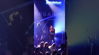 Morgan Wade - Alanis (Live in LA) #shorts