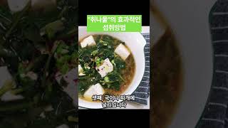 "취나물"의 효과적인 섭취방법