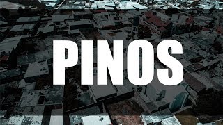 Exploración sobre los Pinos en las Pantojas Cities