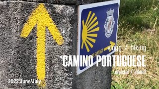 Camino Portuguese inland route (central) - vlogg June 2022. Day 10