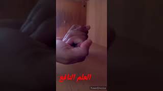 ✍🏻 ملاحظة مهمة 🧎🏻‍♂️لمن يتساهل و يسرع🏃🏻‍♂️ بالتسبيح🗣️ و تضيع الأجر العظيم✅ للإمام الالباني