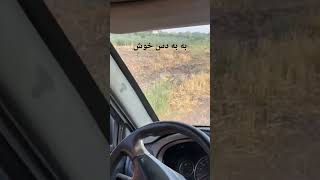 شکارقمنزیل دوستان کانال مارودنبال کنیدهروز با کلیپای جالب درخدمت شماهستیم#شکارکبک#شکارتیهو#شکار