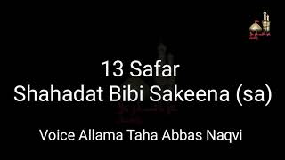 13 Safar Shahadat Bibi Sakina Noha Status || Azadari PaKistan