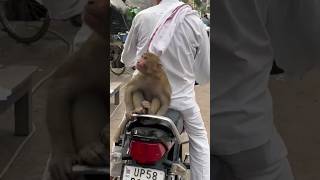 💚💚जानवर ही सही अपना बना के जिस्म से लगा लो ❤️❤️❤️❤️❤️ #viralshort #dog #doglover #viral #sorts