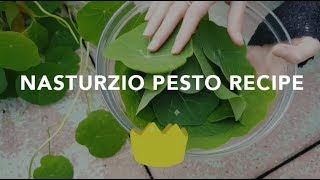 8 MINUTES NASTURZIO PESTO!