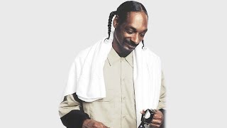 Best Songs Of Snoop Dogg - The Next Episode, Drop It Like It's Hot, Sweat