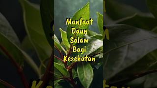 Manfaat daun salam bagi kesehatan