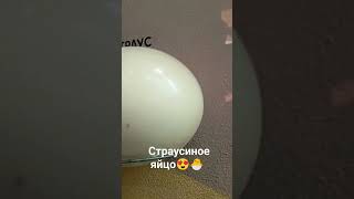 Сколько весит яйцо?🤔 Ответ в описании🔥🔥🔥