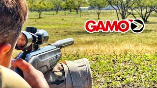 Are Gamo Break Barrels REALLY Worth the Hype?