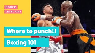 How to and where to punch in a fight #shorts