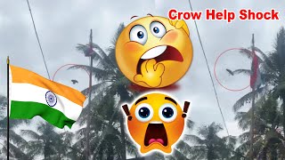 Crow sit flag fly; A crow helped fly the national flag