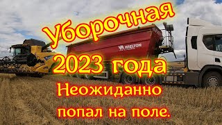 Уборочная 2023 года . Неожиданно попал на поле.