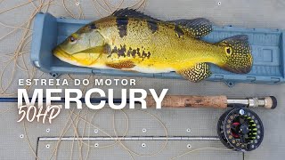 Estreia do Motor Mercury 50 hp