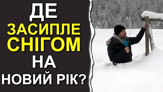 Каким областям Украины повезет со снегом на Новый год 2024: Погода в Украине