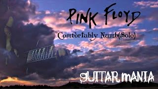 Guitar Mania #19 - Comfortably Numb(solo imprivisation) Pink Floyd   cover