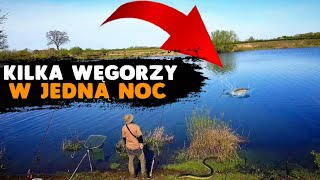 WĘGORZE NOCĄ / Ryby brały jak szalone , Ile ryb udało nam się złowić w 3 dni ???