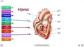 HJÄRTAT   Labelled diagram