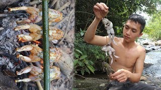 Primitive Technology: Find Frog in The Forest - Grilled Frog Eating Delicious