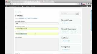 Build a Contact Form In Wordpress