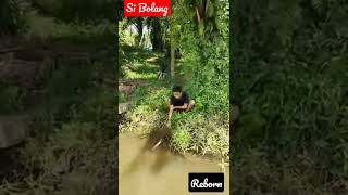 Bang Fauzan - malam-malam mancing dapat ikan sidat #sidat #ikan #shorts