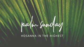 Palm Sunday - Sunday, March 24, 2024