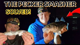 Bass fishing UK - I FOUND OUT WHAT SMASHED THE BAIT!! #fishingvideos #fishing