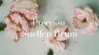 O processo (Suellen Brum)