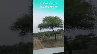 On the Way to Nagarparkar