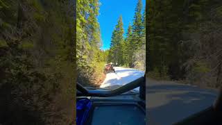 Can-Am Maverick X3 leading Honda Talon through Oregon Spring Snow #pnw #4x4 #canam #honda