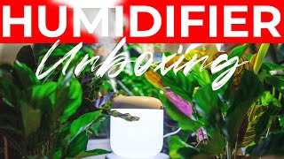 INDOOR PLANTS HUMIDIFIER | Baseus humidifier 600ml | UNBOXING