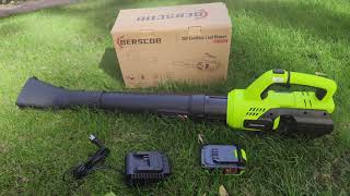 Leaf Blower Cordless