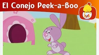 El Conejo Peek-a-Boo - Gato, Luli TV