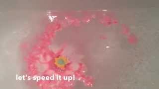 Lush Bath Bomb - Floating Flower