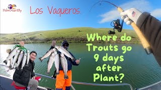 Where do Trouts go 9 days after the Plant? LV Boat edition.