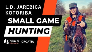 Small Game Hunting - Kotoriba - Croatia - Pheasant, Woodcock, Wild Rabbit, Wild Duck