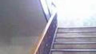 Murphy N.C. Courthouse stairs 2