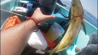 S4:E6 Mahi Mahi (Dorados), Meros y Mojarras Gigantes a 10 brazas