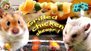 Hamster eating chicken Hamster cooking #3