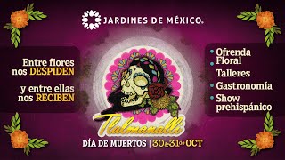 ¡Regresa #Tlalmanalli, el festival del #DíaDeMuertos de los jardines florales más grandes del mundo!