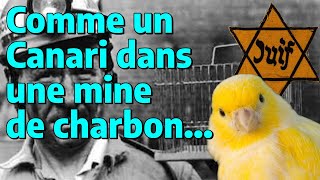 Comme un Canari dans une mine de charbon...